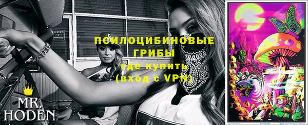 прущие грибы Богородицк
