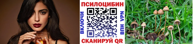 магазин  наркотиков  Няндома  Галлюциногенные грибы Psilocybine cubensis 